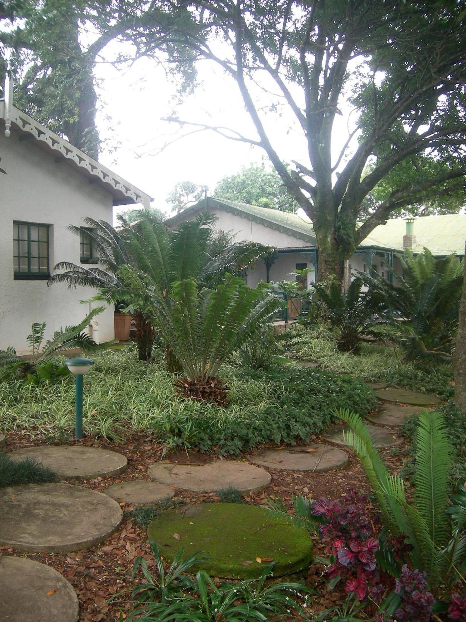 Sherwood'S Country House 트자넨 외부 사진