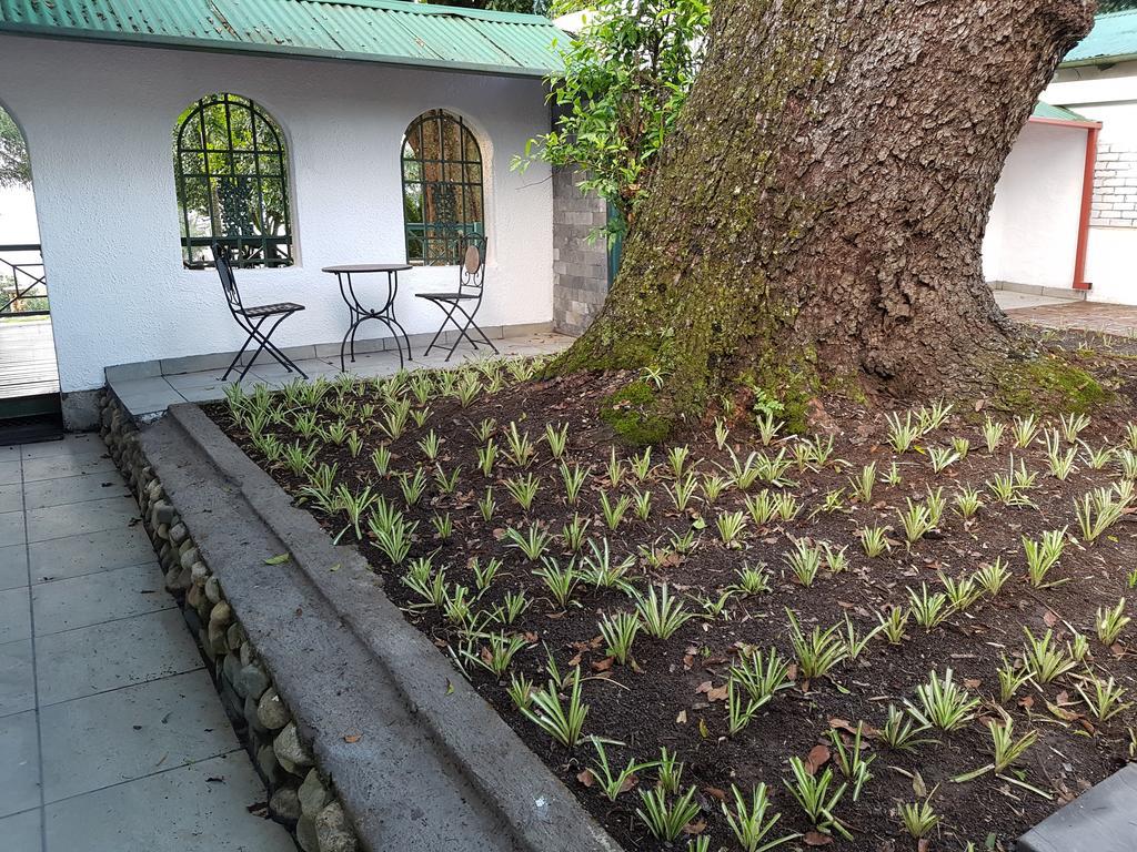 Sherwood'S Country House 트자넨 외부 사진